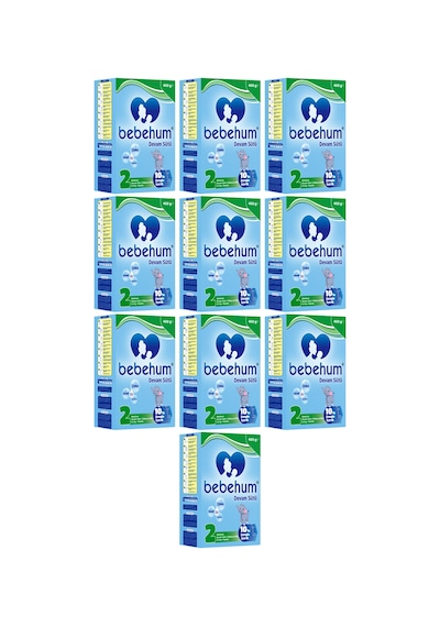 Bebehum 2 Devam Sütü 400 Gr 6-9 Ay 10 Adet