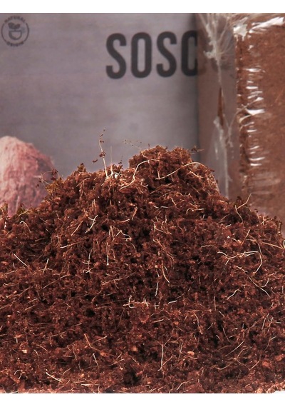10 Lt Cocopeat-hindistan Cevizi Torfu Diğer