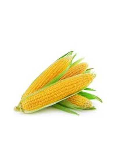 30 Adet Tohum Eko Paket Süt Mısır Süt Mısır Tohumu Darı Tohumu