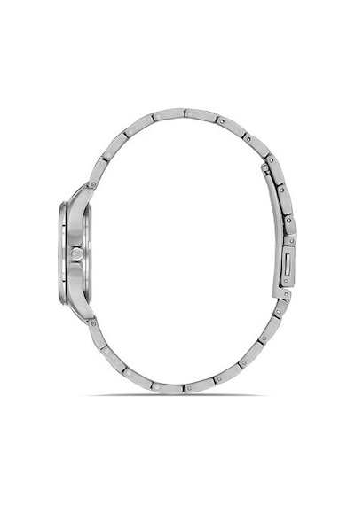 Cw390v-10ss Momentus Women's Classy Kol Saati 33 Mm / Gümüş Gri