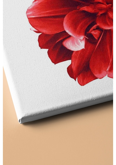 Webstyle Sayılarla Boyama Seti Kasnaklı Yıldız Çiçeği 50 X 65 Cm