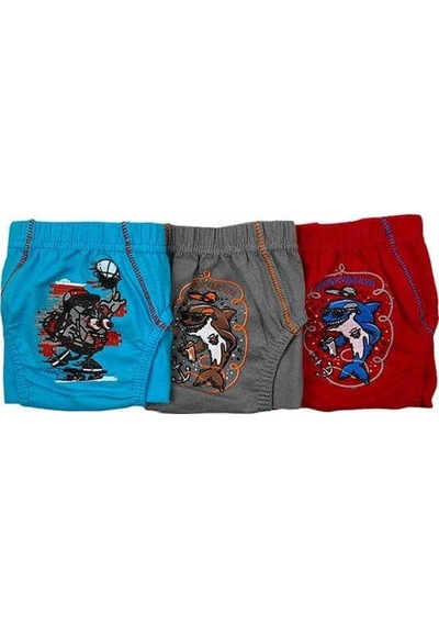Tutku 0138 Erkek Çocuk Renkli Slip Külot 12 Adet
