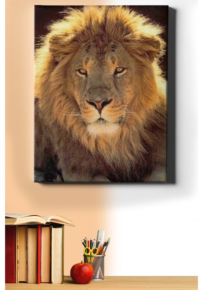 Webstyle Sayılarla Boyama Seti Kasnaklı Orman Kralı 60 X 75 Cm