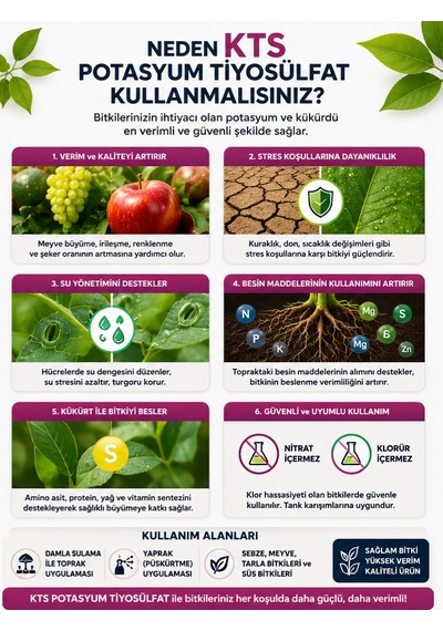 Gübretaş Kts Potasyum Tiyosülfat 5lt 5 LT