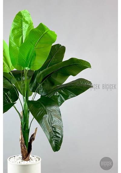 Yapay Muz Ağaci 125 Cm Krem Metal Saksıda