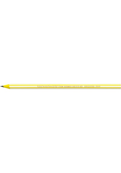 Ayrex Evolution Stripes Kurşun Kalem, 12'li Kutu Genel