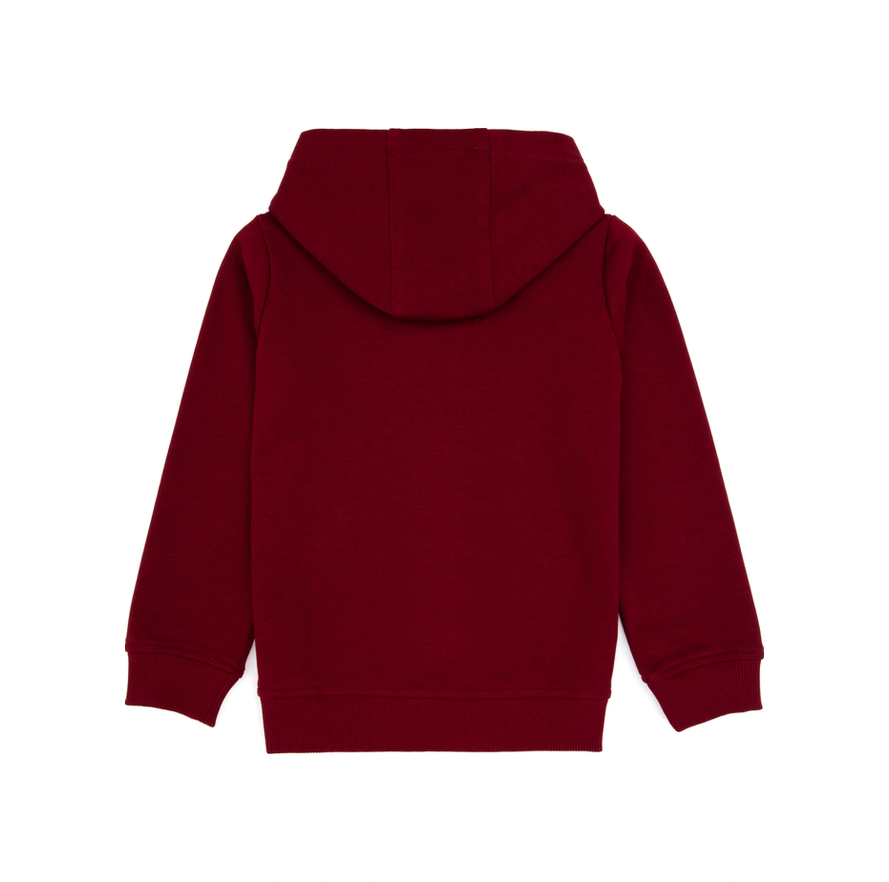U.S. Polo Assn. Erkek Çocuk Bordo Fermuarlı Kapüşonlu Sweatshirt 50316706-VR014