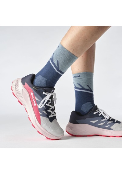 Salomon Alphaglıde Gore-tex Kadın Ayakkabısı L47802300 Çok Renkli