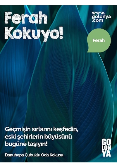 Golonya Danuhepa Çubuklu Oda Kokusu 120 ML