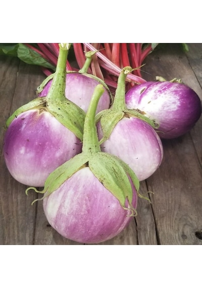 Topak Rosa Bianca Patlıcan Tohumu 15 Tohum