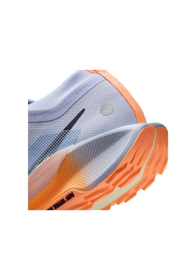Nike Pegasus Trail 5 Gore-tex Erkek Koşu Ayakkabısı Dar Kalıp Fq0908-011 Mavi - 922398676 Mavi