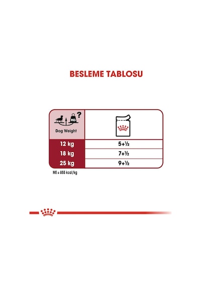 Royal Canin Medium Adult Tavuklu Yetişkin Köpek Maması 10 x 140 G