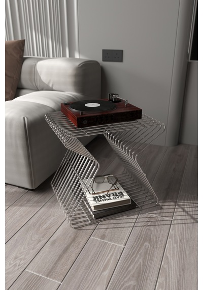Roma Modern Metal Yan Sehpa Derilik Minimalist Tasarım Kitaplık Pikap Plak Çalar Düzenleyici Gümüş