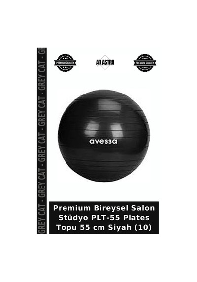 Premium Bireysel Salon Stüdyo Plt-55 Plates Topu 55 Cm Siyah 10