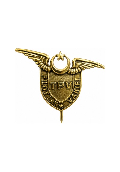 Rozet "pilotlar Vakfı" Sarı