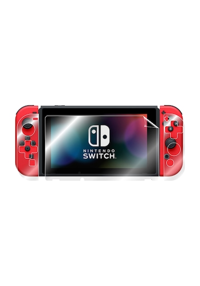 Ipg Nintendo Switch Ekran Ve Jy-Con Koruyucu