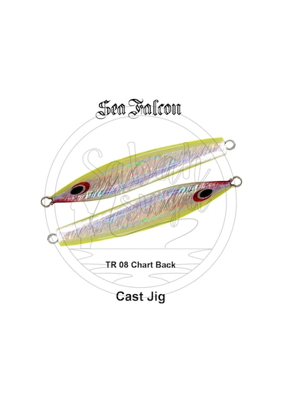 Sea Falcon Cast Jig 30Gr Tr-08 Chart Back