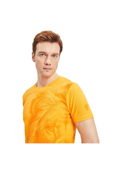 Gsstore Galatasaray Orijinal Lisanslı Aslan Baskılı Sarı T-shirt Gs Aslan Baskılı Hediyelik Ahşap Kutulu Sarı Gsstore Galatasaray Orijinal Lisanslı Aslan Baskılı Sarı T-shirt Gs Aslan Baskılı Hediyelik Ahşap Kutulu Sarı
