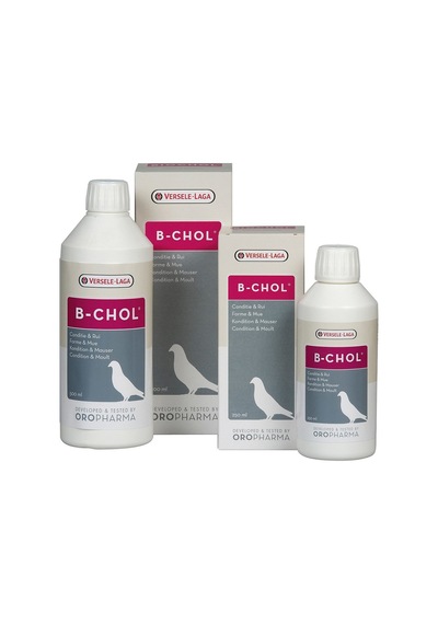Versele Laga Or. B-Chol Güvercin Karaciğer Sağlığı Koru 500 ML