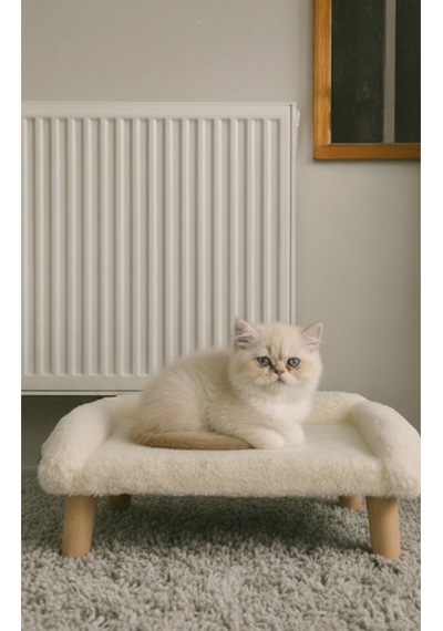 Kedi Evi Ürün Ebatları 45x45 Cmdir.