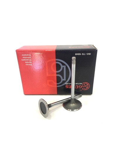 Doblo 1.9D Duz Motor Subap Takım 8V Gunes 2462-2463