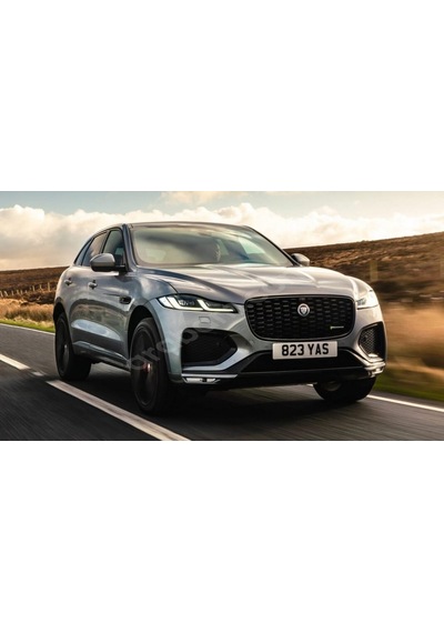 Jaguar E Pace Ön Panjur Izgara Panter 3M 3D Logo 100Mm