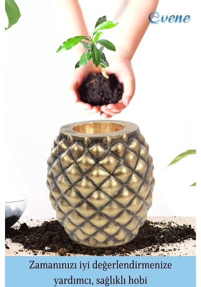 Ahşap Ayaklı Beton Saksı Büyük Boy 1 Adet Ananas Model - Altın Eskitme