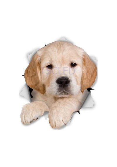 Altın Pupy Köpek Araba Sticker Çıkartması Leptop