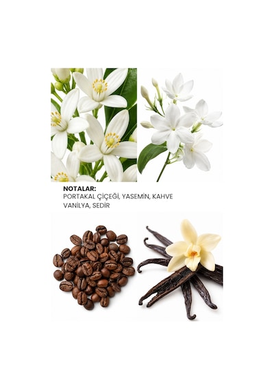 Ixora K336 Purple Kadın Parfüm EDP 100 ML
