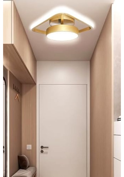 Alen Tekli Eskitme Enerji Tasarruflu Beyaz Işık Modern Led Avize Çocuk Odası Koridor Giyinme Odası Giriş Diğer