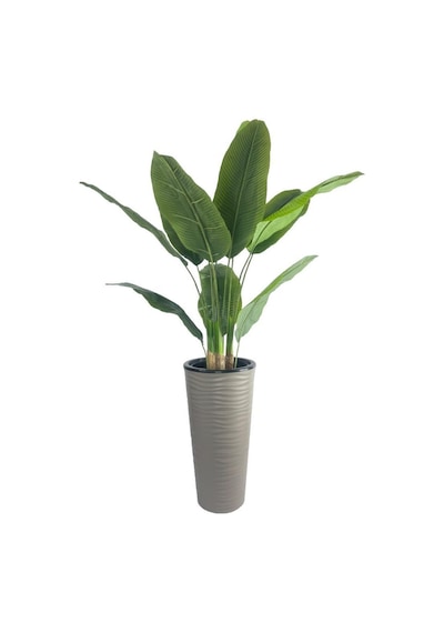 Yapay Starliçe Muz Ağacı Dore Kumsal Vazoda Muz Ağacı Yapay Starliçe 150cm 12 Yaprak