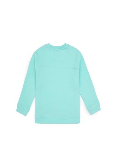 U.S. Polo Assn. Kız Çocuk Mint Bisiklet Yaka Sweatshirt 50317991-VR250