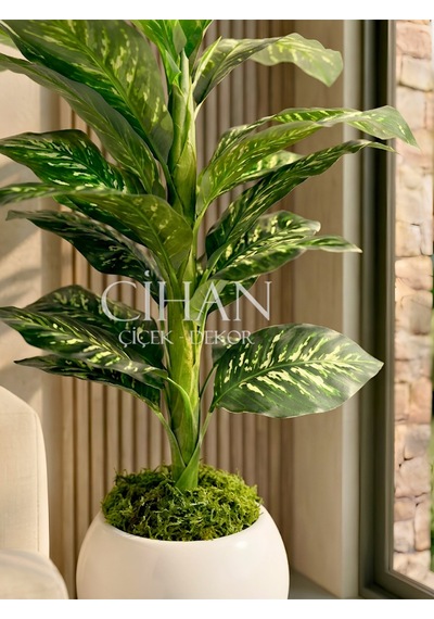 Yapay Difenbahya Ağacı 120 Cm 27x33 Cm Beyaz Küre Saksı