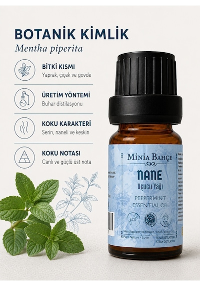 Minia Bahçe Bitki Ve Sanat Atölyesi Nane Uçucu Yağı Saf ve Katkısız Bitkisel Uçucu Yağ 10 ML