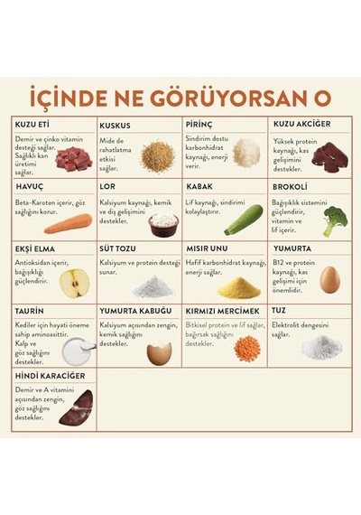 2As Kito Fresh Kuzu Etli Kedi Yemeği%100 Taze İçerikli 80 G 12 Gri