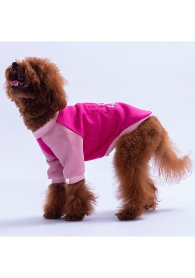 Fuşya Boston Pawstar Sweat Köpek Sweatshirt Köpek Sweat Köpek Kıyafeti Kedi Kıyafeti