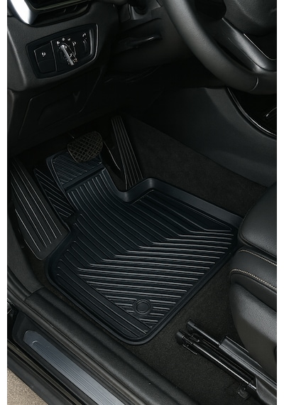 Bmw X1 2015-2022 3d Oto Paspas Premium