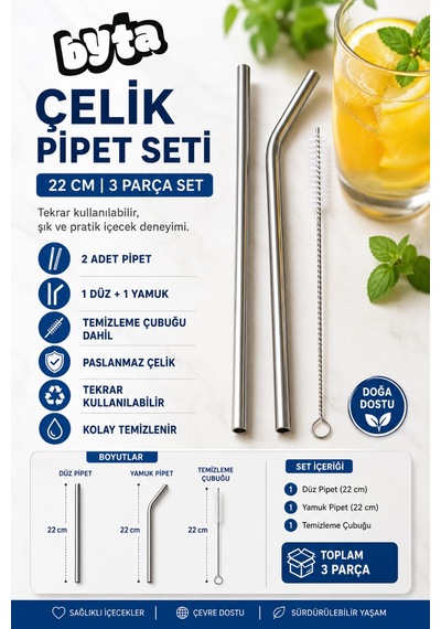 Paslanmaz Çelik Pipet 22 Cm 3 Parça Temizleme Çubuklu