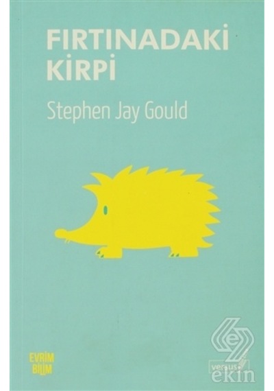 Fırtınadaki Kirpi - Stephen Jay Gould - Versus