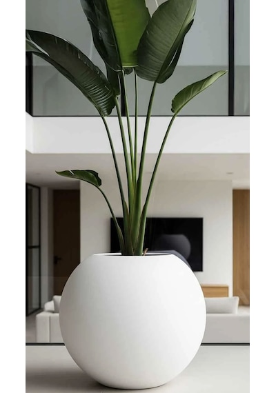 Fiber Küre Saksı Beyaz Çap 50 Cm Yükseklik 40 Cm