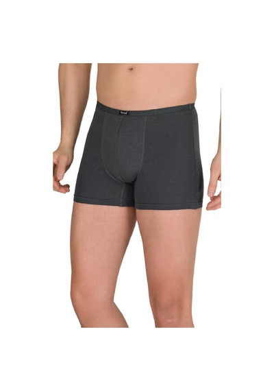 Berrak 4488 Erkek Ince Kemer Modal Boxer 5 Li Paket Füme
