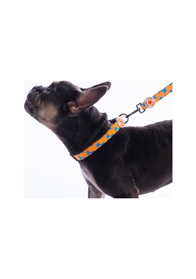 Citrus Narenciye Desenli Köpek Boyun Tasması Ayarlanabilir Köpek Tasması S Turkuaz