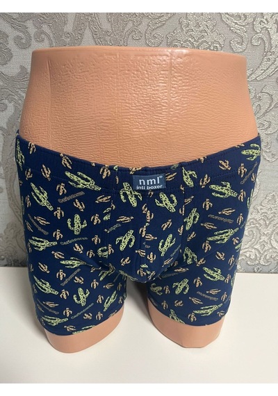 İnti Erkek Boxer Çok Renkli-1