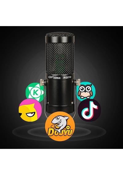 Aq210 Condenser Stüdyo Profesyonel Kayıt ve Yayın Mikrofonu Studio Siyah