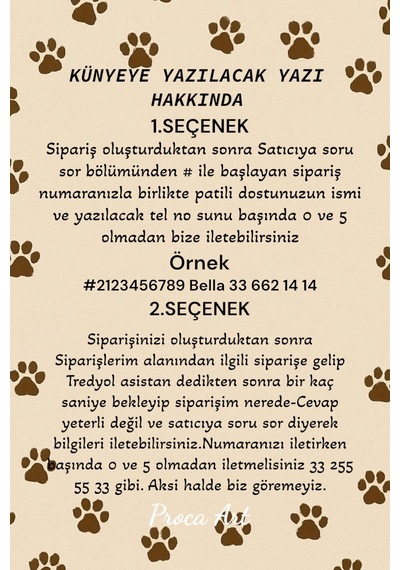 İsme Özel Çelik Kedi Köpek İsimlik Künyesi Silver Gri