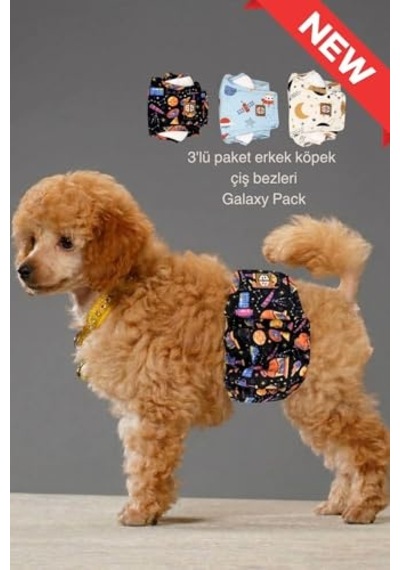 Erkek Köpek Çiş Bezleri, 3'lü Avantajlı Paket, 1 Paket 3 Farklı Desen Space, Small