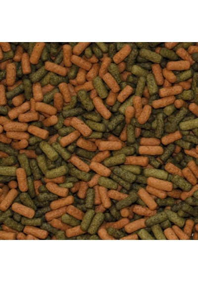 Tropical Cichlid Red Green Large Sticks 50 Gram Balık Yemi