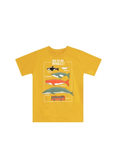 Denokids Big Whales Erkek Çocuk Yazlık T-shirt Kapri Takım