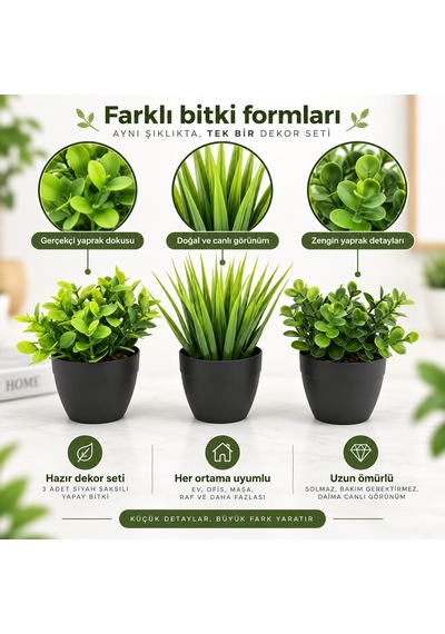 3 Lü Mini Yapay Çiçek Sukulent Seti, Saksılı Yapay Sukulent Bitki, Dekoratif Masaüstü Mini Bitk Belirtilmemiş