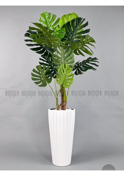 Yapay Monstera Ağacı Deve Tabani 200 Cm Beyaz Li Lyum Saksıda